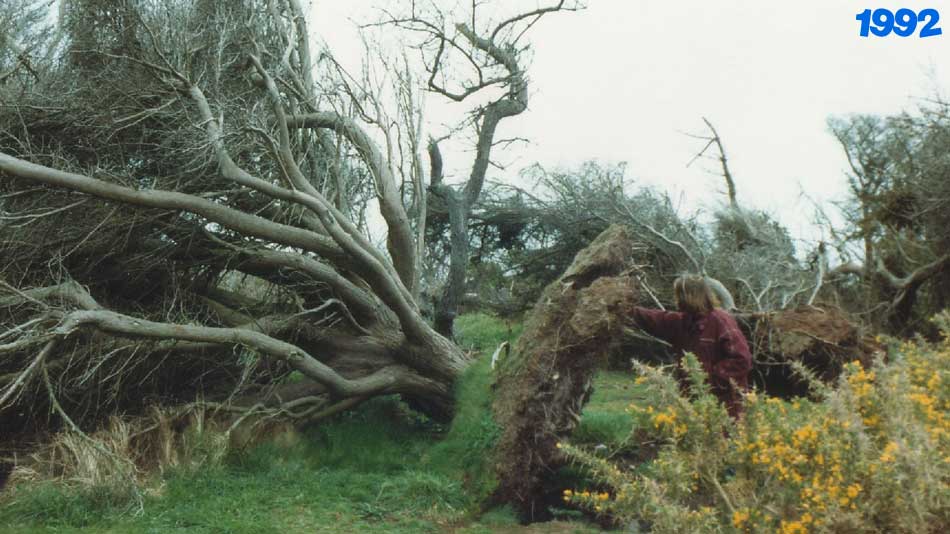 Garrison trees in 1992