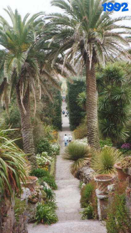 Tresco Garden view in 1992