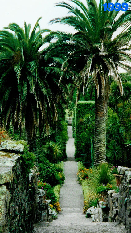 Tresco Garden view in 1999